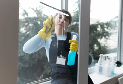 Nettoyage de vitres intérieures et extérieures à Moustey